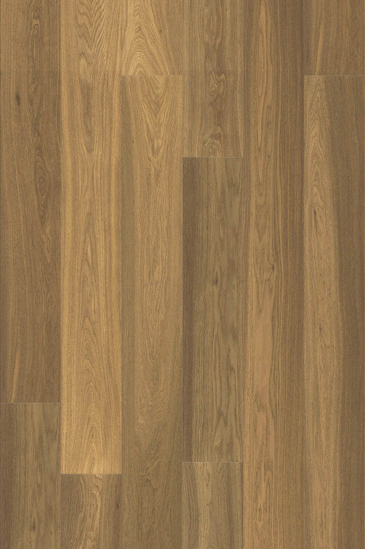Acorn Brown 1075